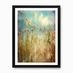 Wildflowers In A Field Art Print