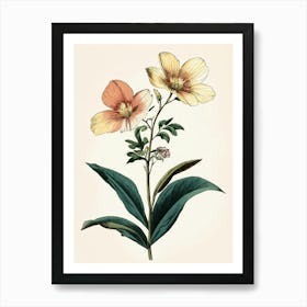 Hibiscus 7 Art Print