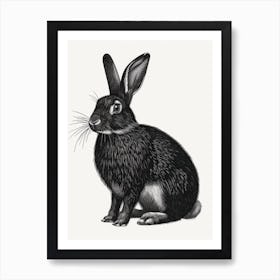 Blanc De Hotot Blockprint Rabbit Illustration 5 Art Print