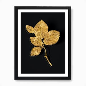 Vintage Witch Hazel Botanical in Gold on Black n.0021 Art Print