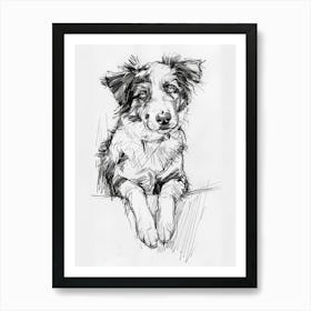 Miniature American Shepherd Dog Line Sketch 4 Art Print