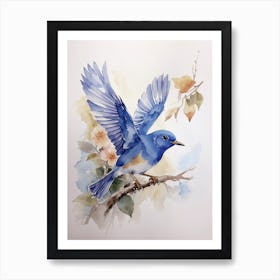 Bluebird Art Print