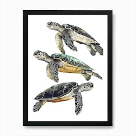 Three Minimalist Vintage Sea Turtles 2 Art Print