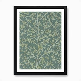 Western Larch 2 tree Vintage Botanical Art Print