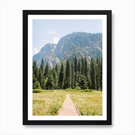 National Parks Yosemite Trees 1 Art Print