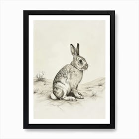 American Fuzzy Rabbit Drawing 1 Art Print