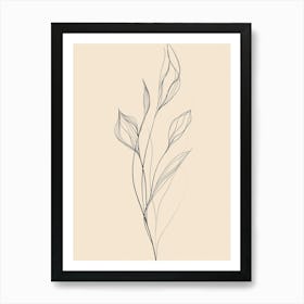 Drawing Of A Flower 4 Art Print