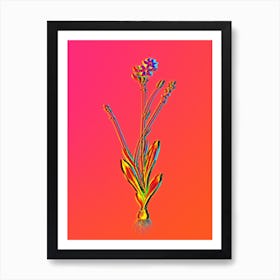 Neon Gladiolus Junceus Botanical in Hot Pink and Electric Blue Art Print