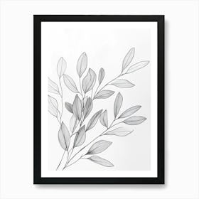 Eucalyptus 7 Art Print