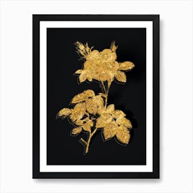 Vintage White Rose Botanical in Gold on Black n.0094 Art Print