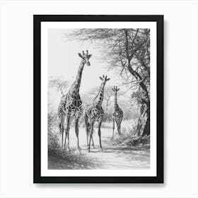 Herd Of Giraffe By The Tree 1 Art Print