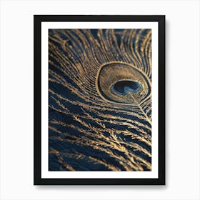 Peacock Feather Art Print