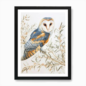 Barn Owl Drawing 2 Art Print