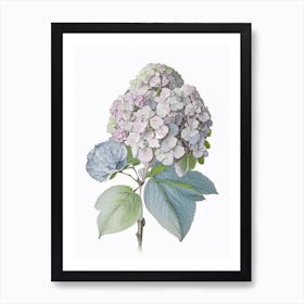 Hydrangea Floral Quentin Blake Inspired Illustration 1 Flower Art Print