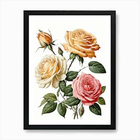 Vintage Galleria Style Rose Art Painting 25 Art Print