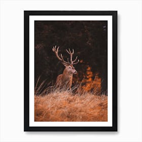 Warm Autumn Deer Art Print