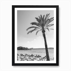 Palm tree Black And White Photo Art Print