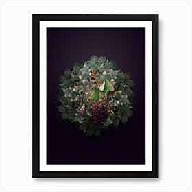 Vintage Grape Barbarossa Fruit Wreath on Royal Purple n.0011 Art Print