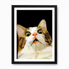 scared cat meme Art Print