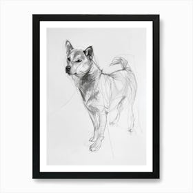 Shiba Inu Dog Charcoal Line 1 Art Print