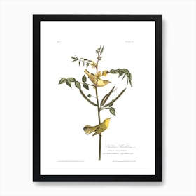 Children'S Warbler Art Print