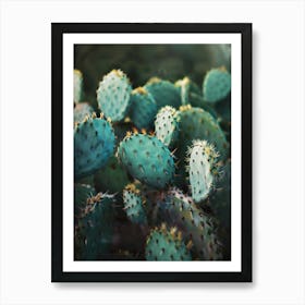 Cactus in the garden Art Print