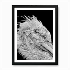 Pelican Line Art Art Print