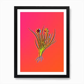 Neon Golden Blue eyed Grass Botanical in Hot Pink and Electric Blue n.0398 Art Print