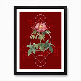 Vintage Provins Rose Botanical with Geometric Line Motif and Dot Pattern n.0087 Art Print