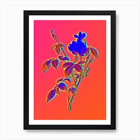 Neon White Bengal Rose Botanical in Hot Pink and Electric Blue n.0615 Art Print