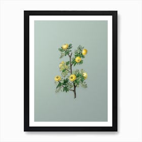 Vintage Tansy Leaved Hawthorn Flower Botanical Art on Mint Green Art Print
