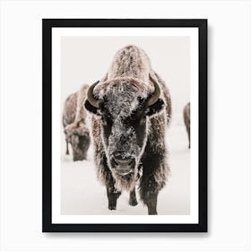 Snowy Winter Bison Art Print