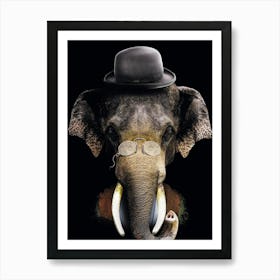 Elephant With Glasses And Hat Art Print