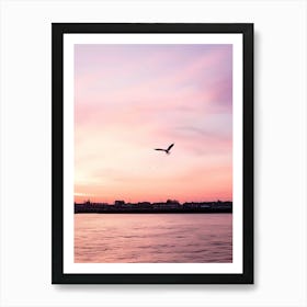 Seagull Flying Over The Water Affiche