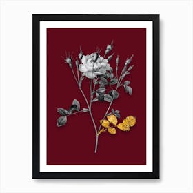 Vintage Anemone Sweetbriar Rose Black and White Gold Leaf Floral Art on Burgundy Red n.0677 Art Print