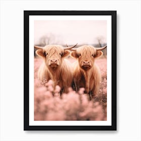 Blush Pink Portrait Of Two Highland Cows Art Print