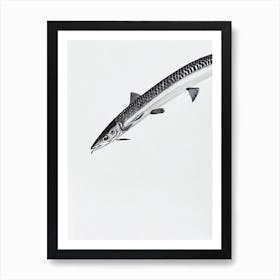 Barracuda Black & White Drawing Art Print