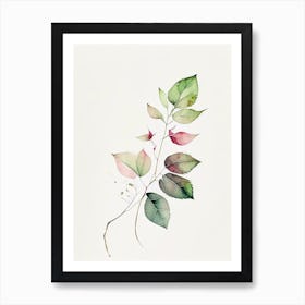 Wild Rose Leaf Minimalist Watercolour 3 Art Print