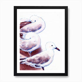 Seagulls On The Beach Of The Sea Art Print