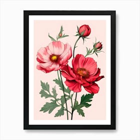 Cosmos Flowers 4 Art Print