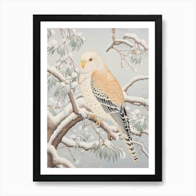 Winter Bird Painting Budgerigar 4 Art Print