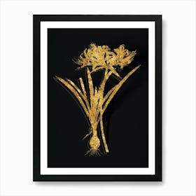 Vintage Golden Hurricane Lily Botanical in Gold on Black n.0031 Art Print
