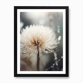 Pastel Nature Macro No 11 Art Print