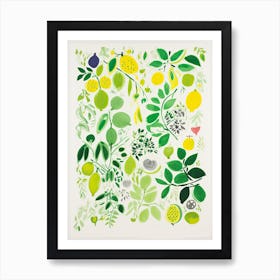 Lime Fruit Drawing 8 Art Print