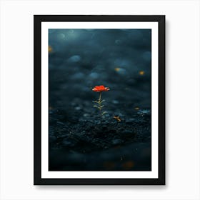 Single Flower In The Dark 112 Art Print