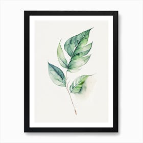 Salvia Leaf Minimalist Watercolour 2 Art Print