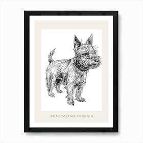 Australian Terrier Line Sketch 4 Poster Art Print