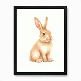 Havana Rabbit Kids Illustration 4 Art Print