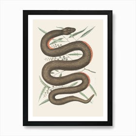 Snake On A Branch Art Print