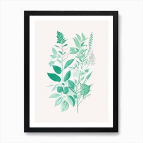 Mint Spices And Herbs Minimal Line Drawing 3 Art Print